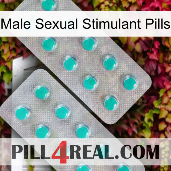 Male Sexual Stimulant Pills 29.jpg